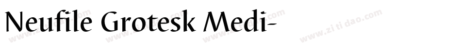 Neufile Grotesk Medi字体转换